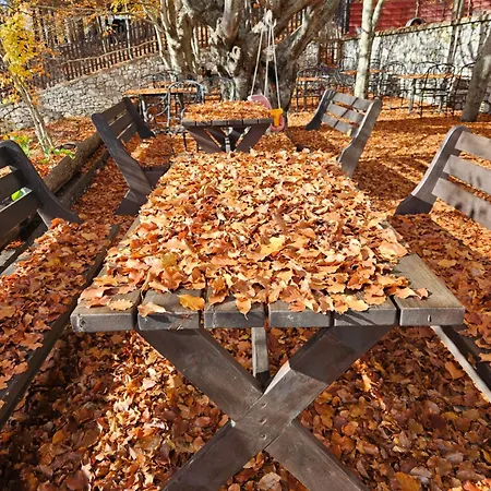 Lendina E Qete * Razem