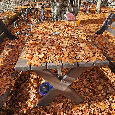 Lendina E Qete * Razem