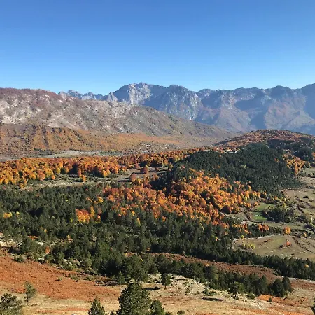Lendina E Qete * Razëm
