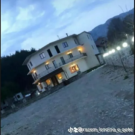 Lendina E Qete