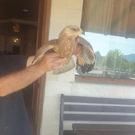 فندق Lendina E Qete