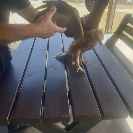 Lendina E Qete فندق *