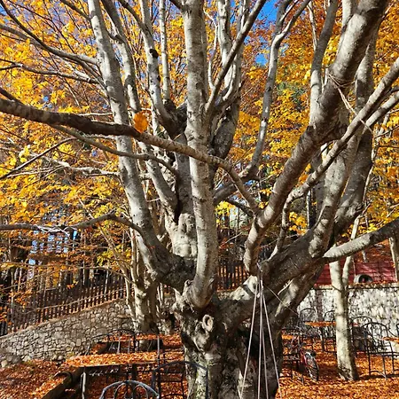 Hotel Lendina E Qete *