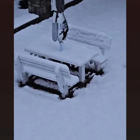 Lendina E Qete * Razëm