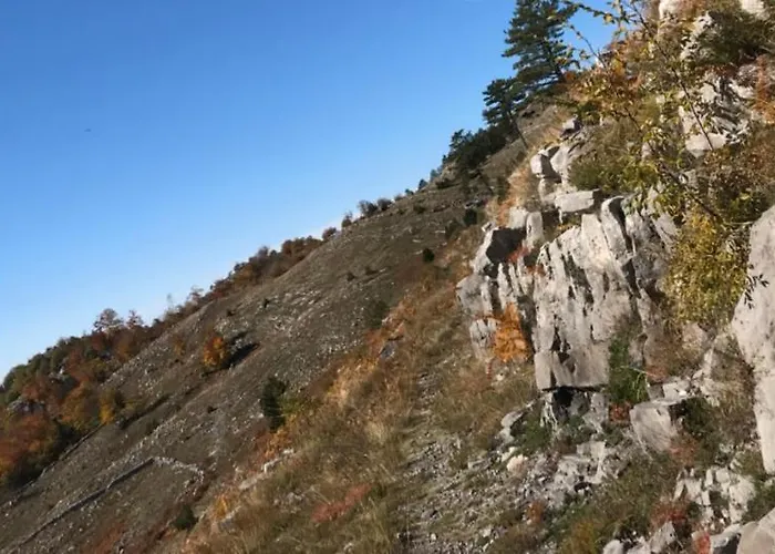 Lendina E Qete * Razëm