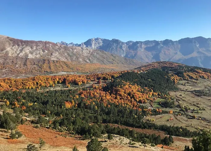 Lendina E Qete * Razëm