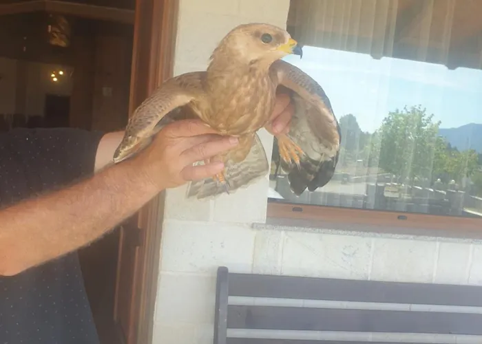 Hotel Lendina E Qete