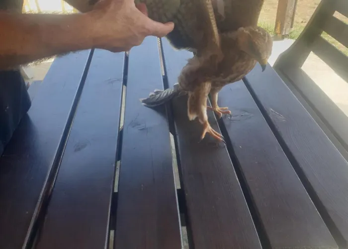 Lendina E Qete Hotel *