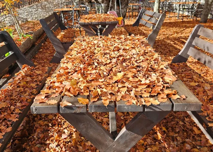 Lendina E Qete * Razëm