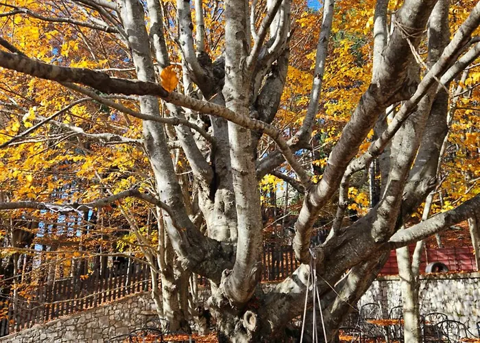 Hotel Lendina E Qete *