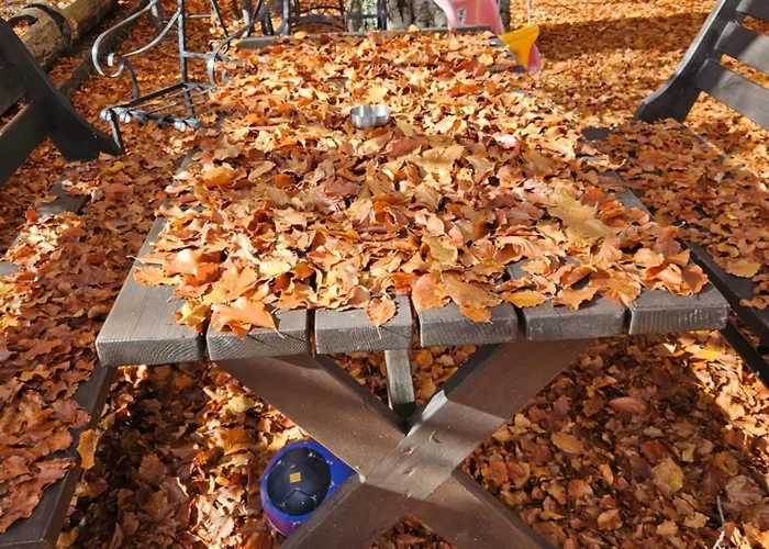 Lendina E Qete * Razëm