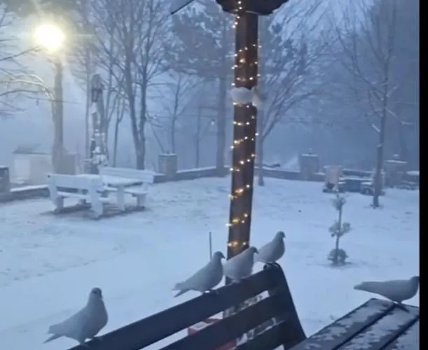 Hotel Lendina E Qete *